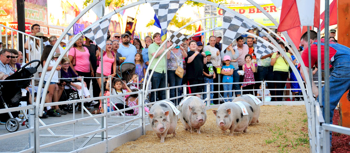 Miami Dade County Fair Pig Races 